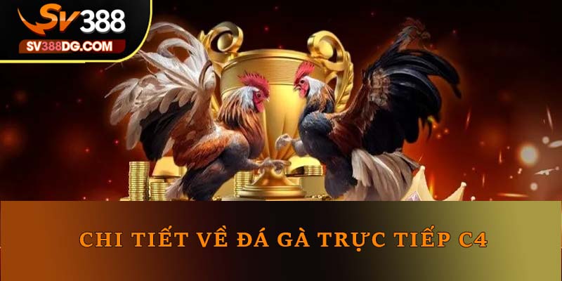 Chi tiết về đá gà trực tiếp C4