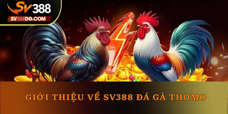 Giới thiệu về SV388 đá gà Thomo