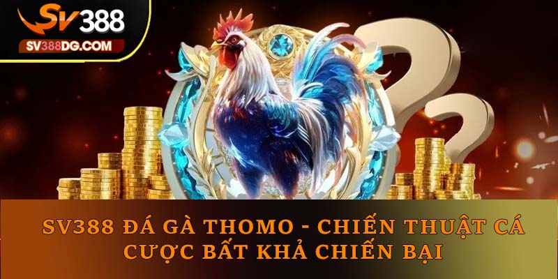 SV388 Đá Gà Thomo - Chiến Thuật Cá Cược Bất Khả Chiến Bại