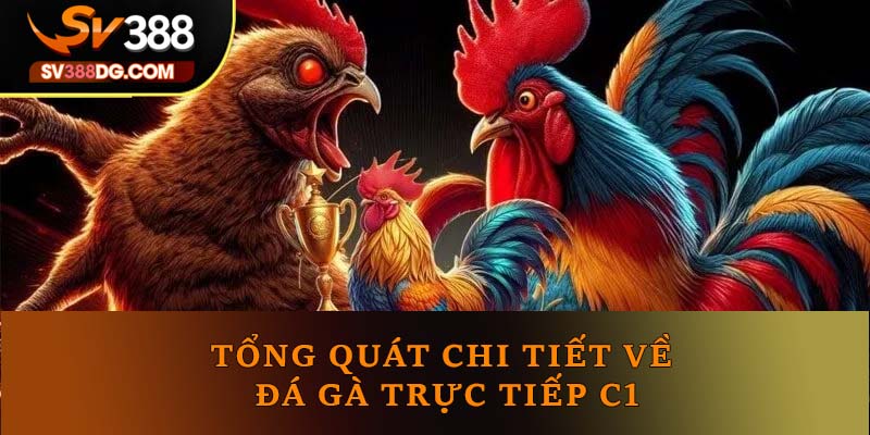 Tổng quát chi tiết về đá gà trực tiếp C1