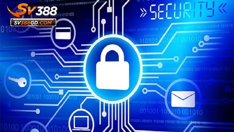Trách nhiệm của người dùng Trách nhiệm của người dùng